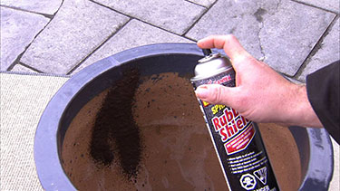 Cantex Rubber Shield